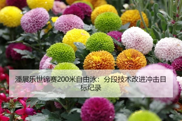 潘展乐世锦赛200米自由泳：分段技术改进冲击目标纪录